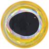 9.5 mm - Gold With Silver Rim Black Pupil