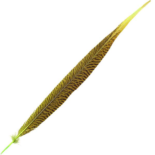 FFgene Golden Pheasant Tail