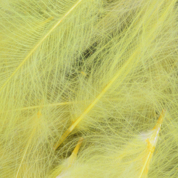FFGene CDC Color Jambo, confezione di piume - 1 gr