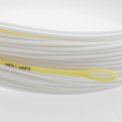 Coda di topo Taimen Accuracy P