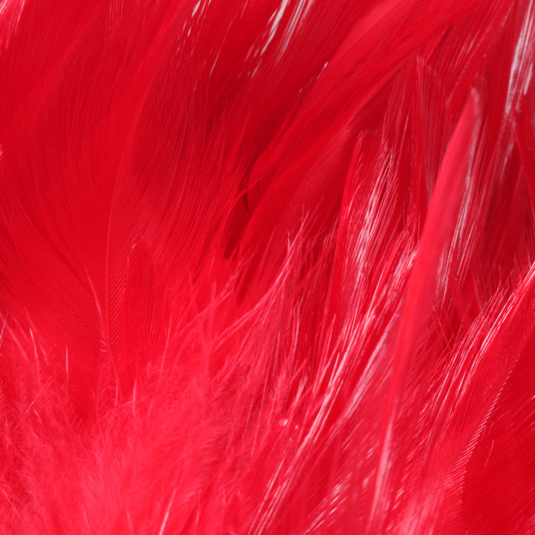 FFGene Strung Saddles Hackle