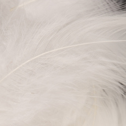 Wapsi Piume White per hackle morbida Matuka