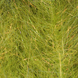 H2O Flash Blend Baitfish Pennello da 5 pollici (flash)