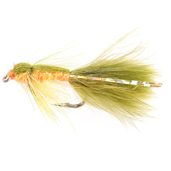 Damigella Arancione chiaro