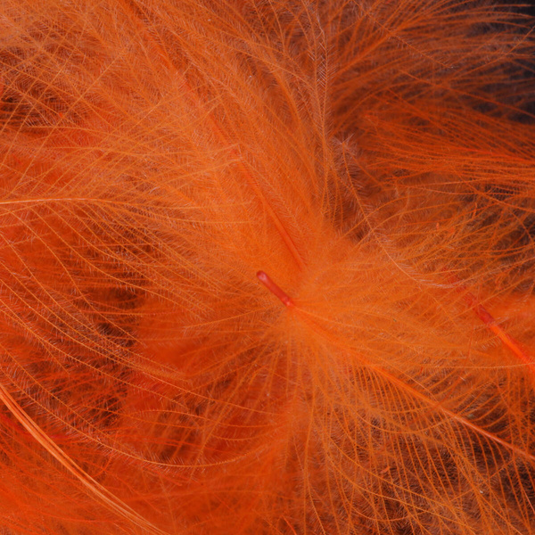 FFGene CDC Color Jambo, confezione di piume - 1 gr
