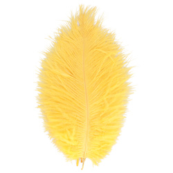 FFGene Piume hackle di struzzo