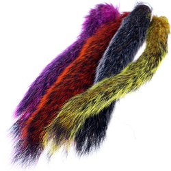 Wapsi Pelo della coda di scoiattolo