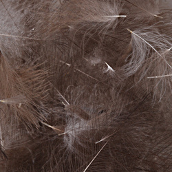 Hareline Piume cul de canard (CDC)
