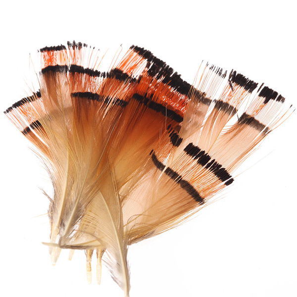 Hareline Piume tippet del collo di fagiano dorato