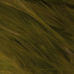 Hareline Piume hackle del collo per acqua salata