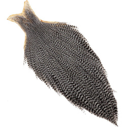 Collo di gallo FFGene, grado commerciale