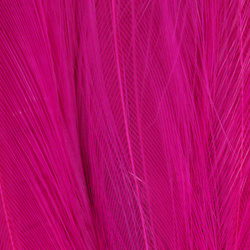 FFGene Piume da hackle del collo di gallo