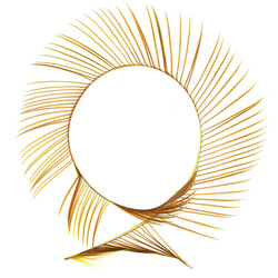 FFGene Biot d’oca