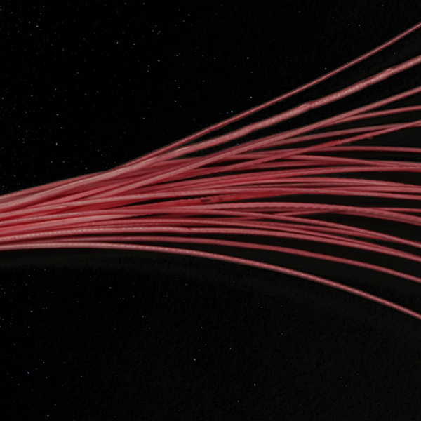Hareline Quill per corpi