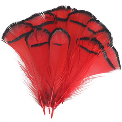 FFGene Piume tippet di fagiano di Lady Amherst