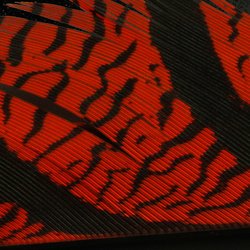 Hareline Piume centrali della coda di fagiano di Lady Amherst