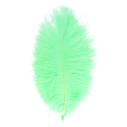 FFGene Piume hackle di struzzo