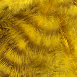 Hareline Piume da hackle morbida Grizzly