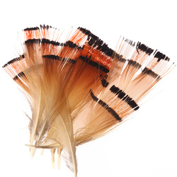 Hareline Piume tippet del collo di fagiano dorato