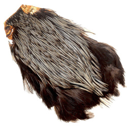 FFGene India Cock Cape Class AA