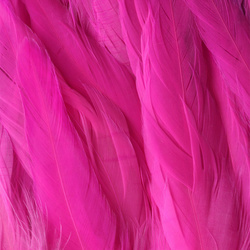 FFGene Piume schlappen di gallo