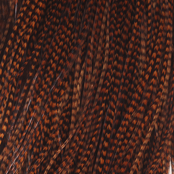 Sella di gallo Keough Hackle per mosche secche