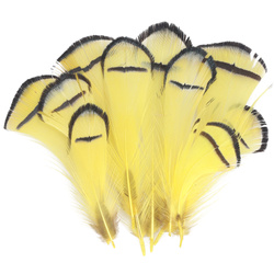 FFGene Piume tippet di fagiano di Lady Amherst