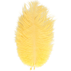 FFGene Piume hackle di struzzo