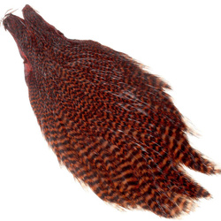 Collo di gallina Wapsi Grizzly