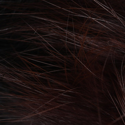 Spirit River UV2 Dos Tone Rabbit