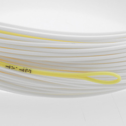 Coda di topo Taimen Accuracy P