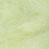 Yellow Shad