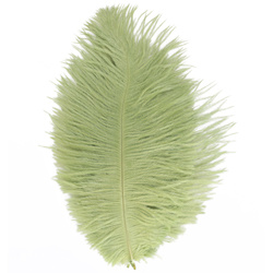 FFGene Ostrich Hackles Feathers