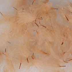 Hareline Piumini CDC Oiler Puffs