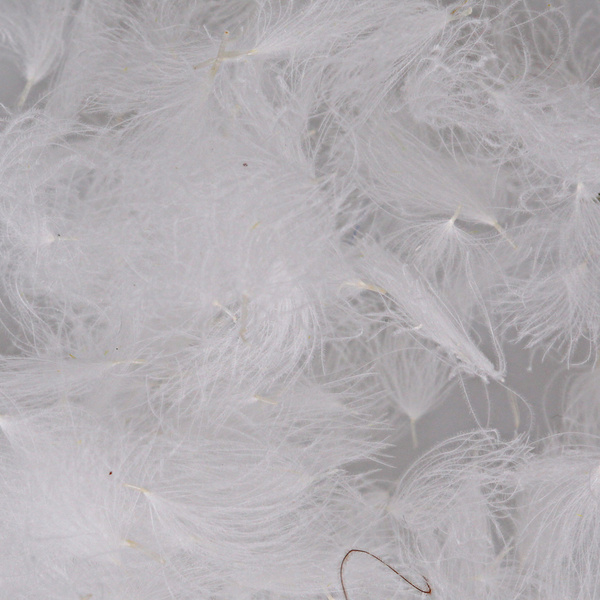 Hareline Piumini CDC Oiler Puffs