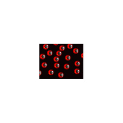 Occhi per mosche FFGene Prismatic 3D Eyes