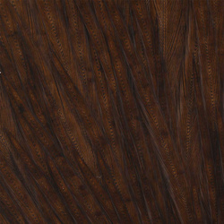 Mantelli interi Ewing