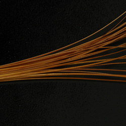 Hareline Quill per corpi