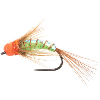Tungsteno BH Arancione Caddis Verde