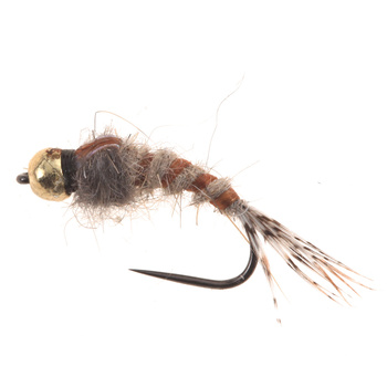 Tungsteno BH Lt. Orecchio di lepre