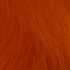 Crawdad Orange