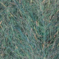 H2O Flash Blend Baitfish Pennello da 1 pollice (flash)