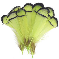 FFGene Piume tippet di fagiano di Lady Amherst