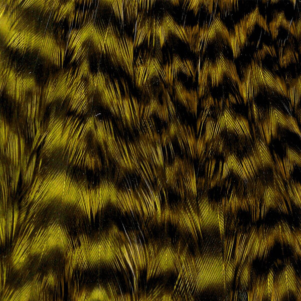 Collo di gallina Wapsi Grizzly
