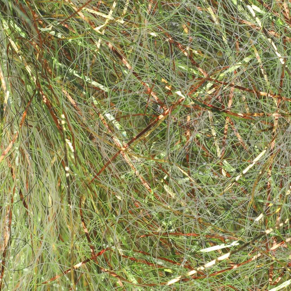 Light Olive UVR / 33