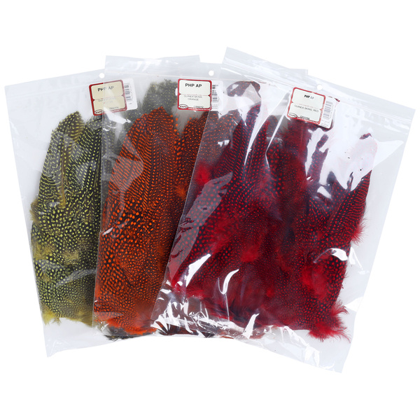 Wapsi pelle di faraona con piume