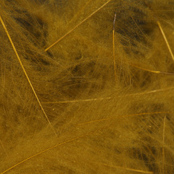 Wapsi CDC. Cul-De-Canard