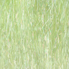 Light Green UVR