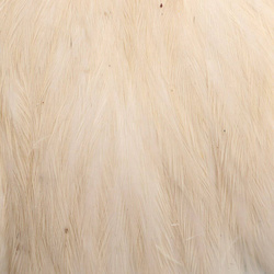 Collo di gallina Hareline