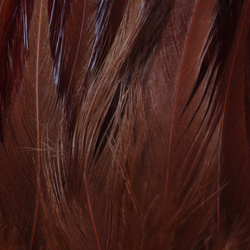 FFGene Strung Saddles Hackle